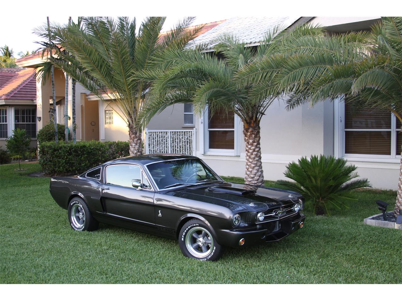 ford mustang fastback