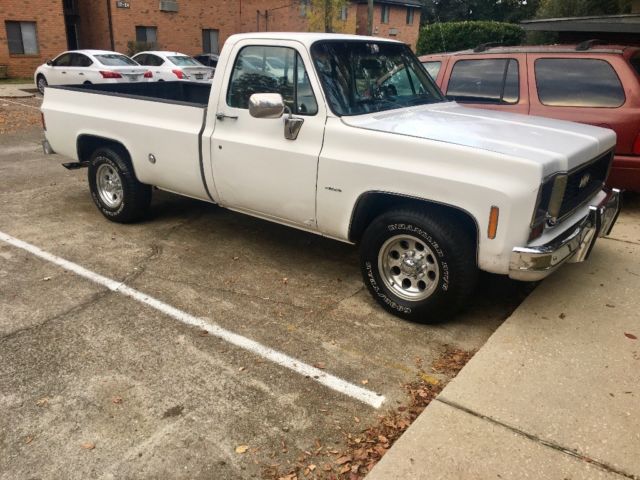 1973 chevy truck camper special