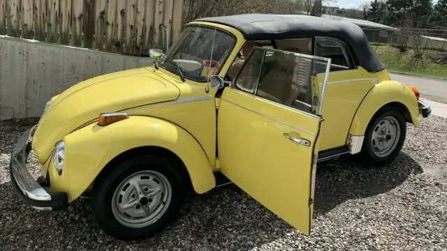 only female owned convertible vw beetle located on bozeman, mt