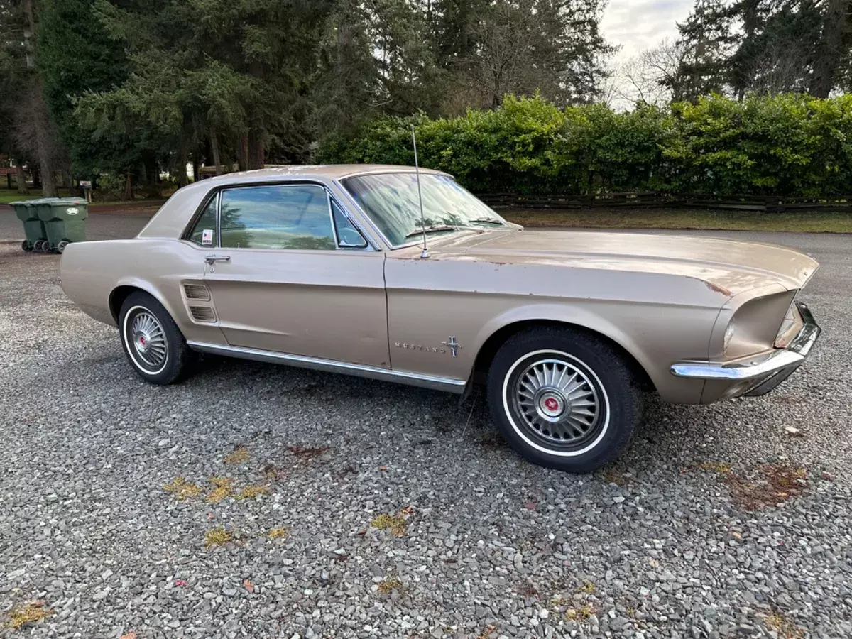 bone stock, complete, survivor, straight 6
