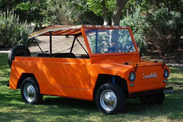 1970 fiat 500 scoiattolo (squirrel) other makes