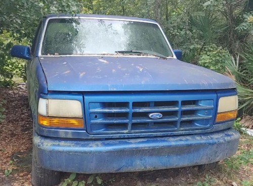 1995 ford f-150 xl for sale in florida by owner