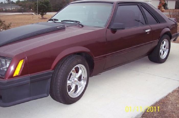 obo 1979 mustang pace car in ocala, fl