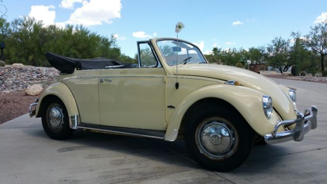 1967 vw beetle convertible daily driver in yukon yellow