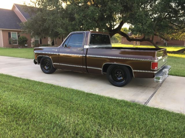 1979 c10 chevrolet silverado big10