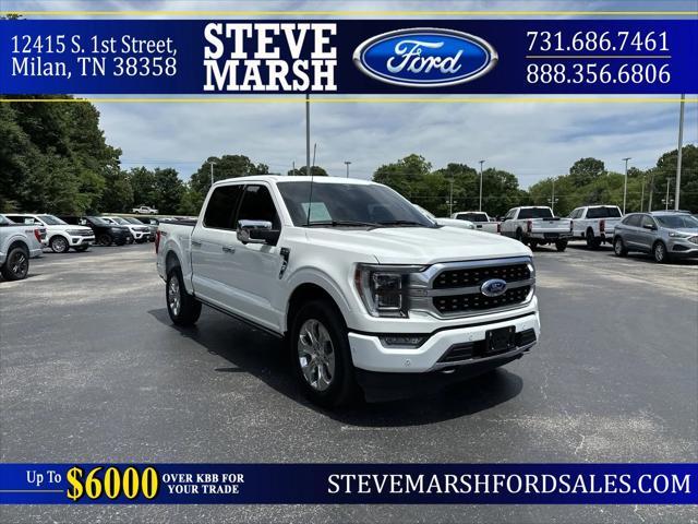 2023 ford f-150 platinum