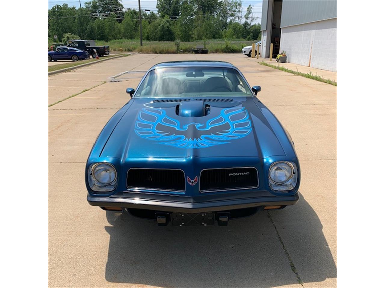 1974 pontiac firebird trans am