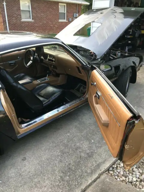1979 firebird (trans am clone) esprit