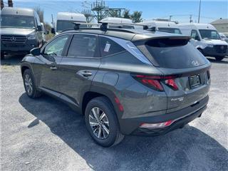 2024 Hyundai Tucson blue