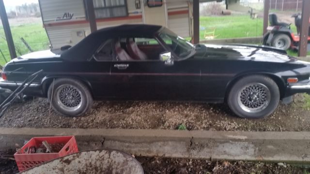 1989 v12 jaguar xjs