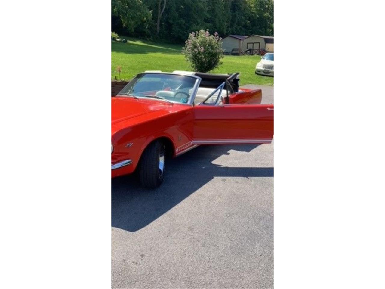 1966 ford mustang