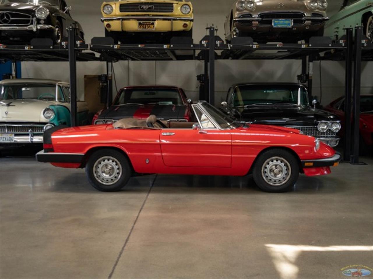 1985 alfa romeo spider