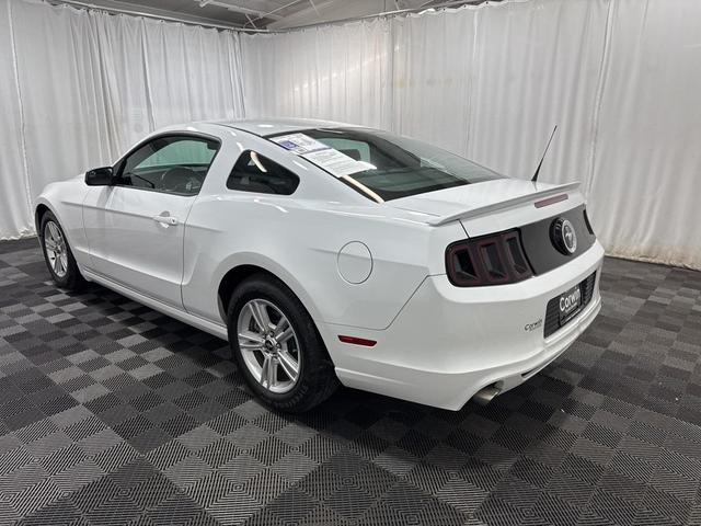 2014 ford mustang v6