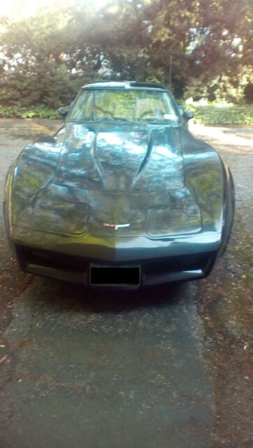 1980 chevrolet corvette, low mileage, only $7,500!