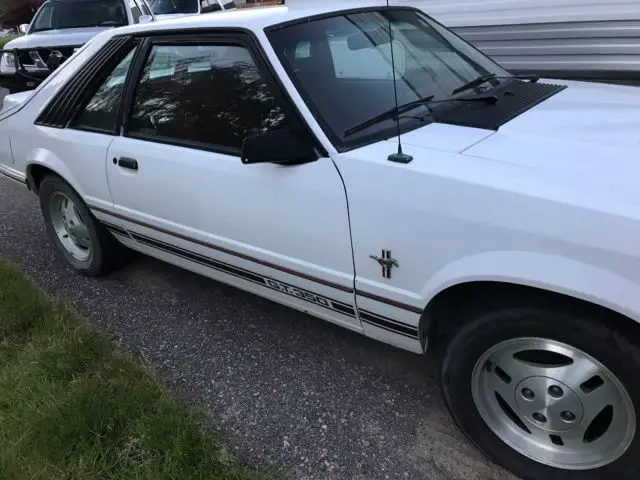 1984 mustang 20th anniversary gt350 v8 302 ho
