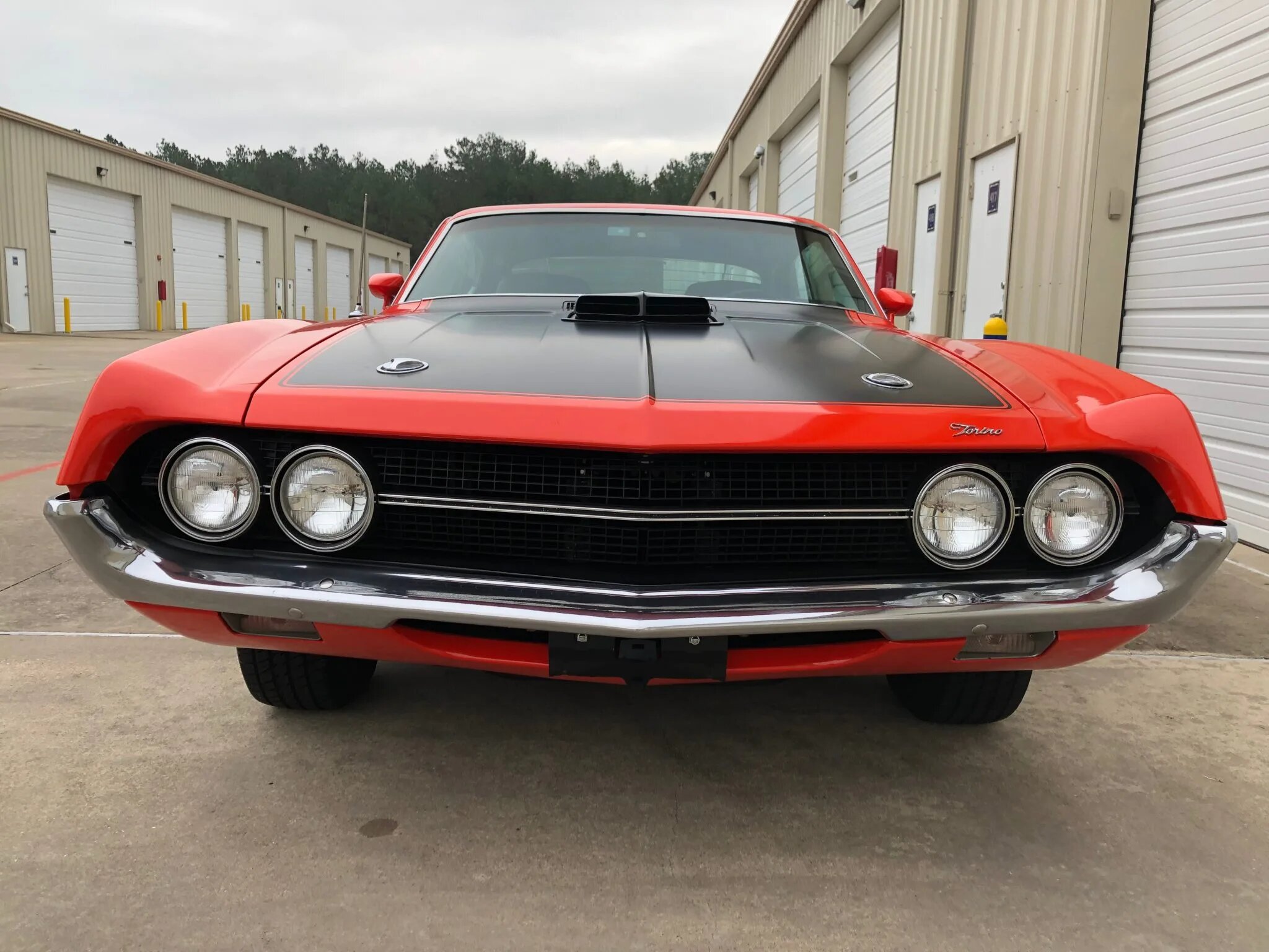 ford torino cobra