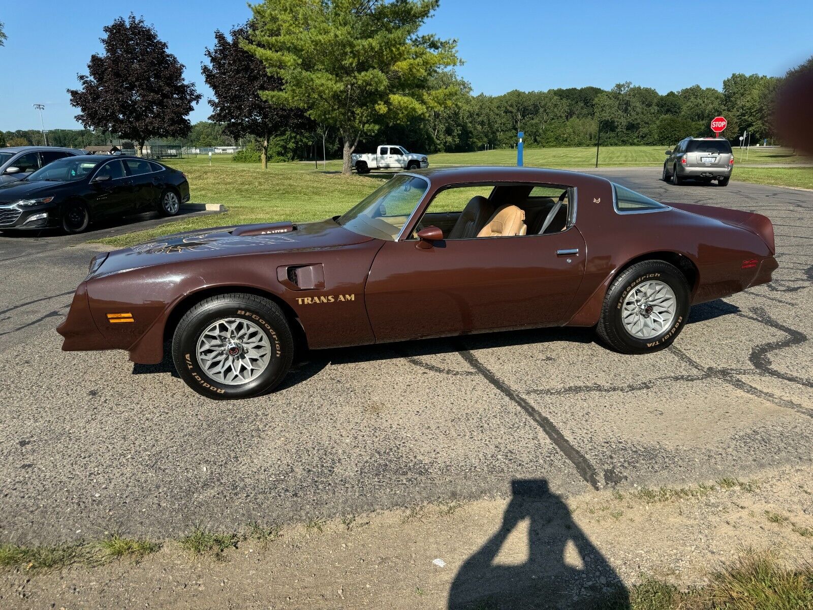 1977 pontiac firebird