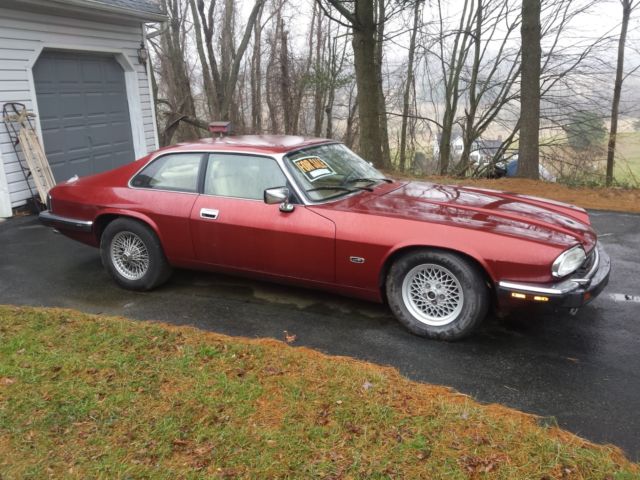 jaguar xjs coupe