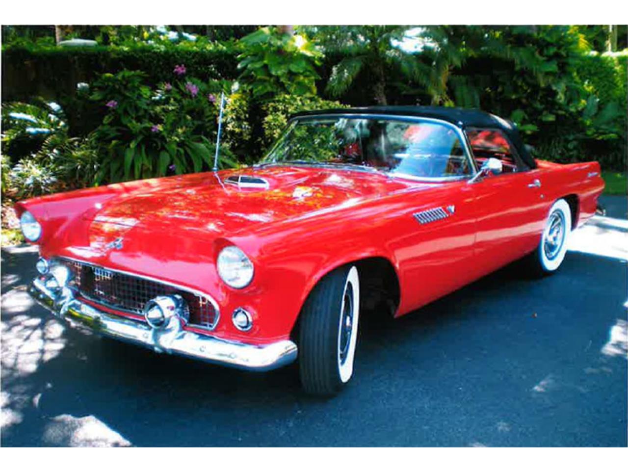 1955 ford thunderbird
