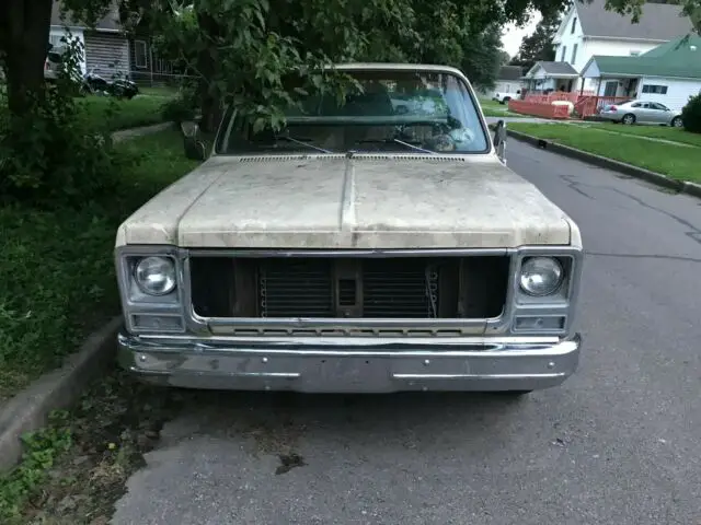 this is a 1979 chevy bonanza (c-10) style truck â½ ton