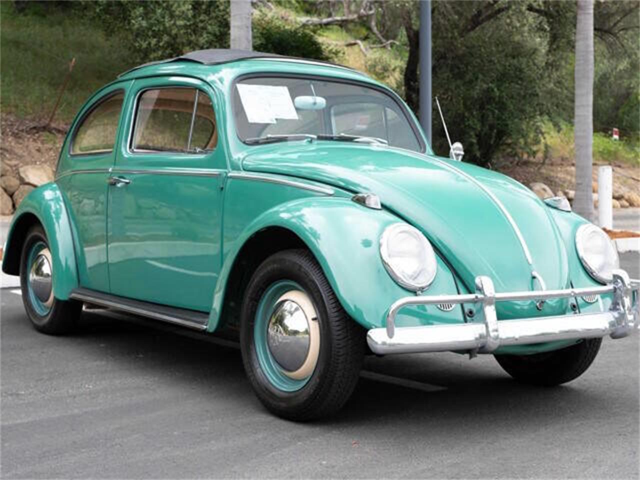 1960 volkswagen beetle