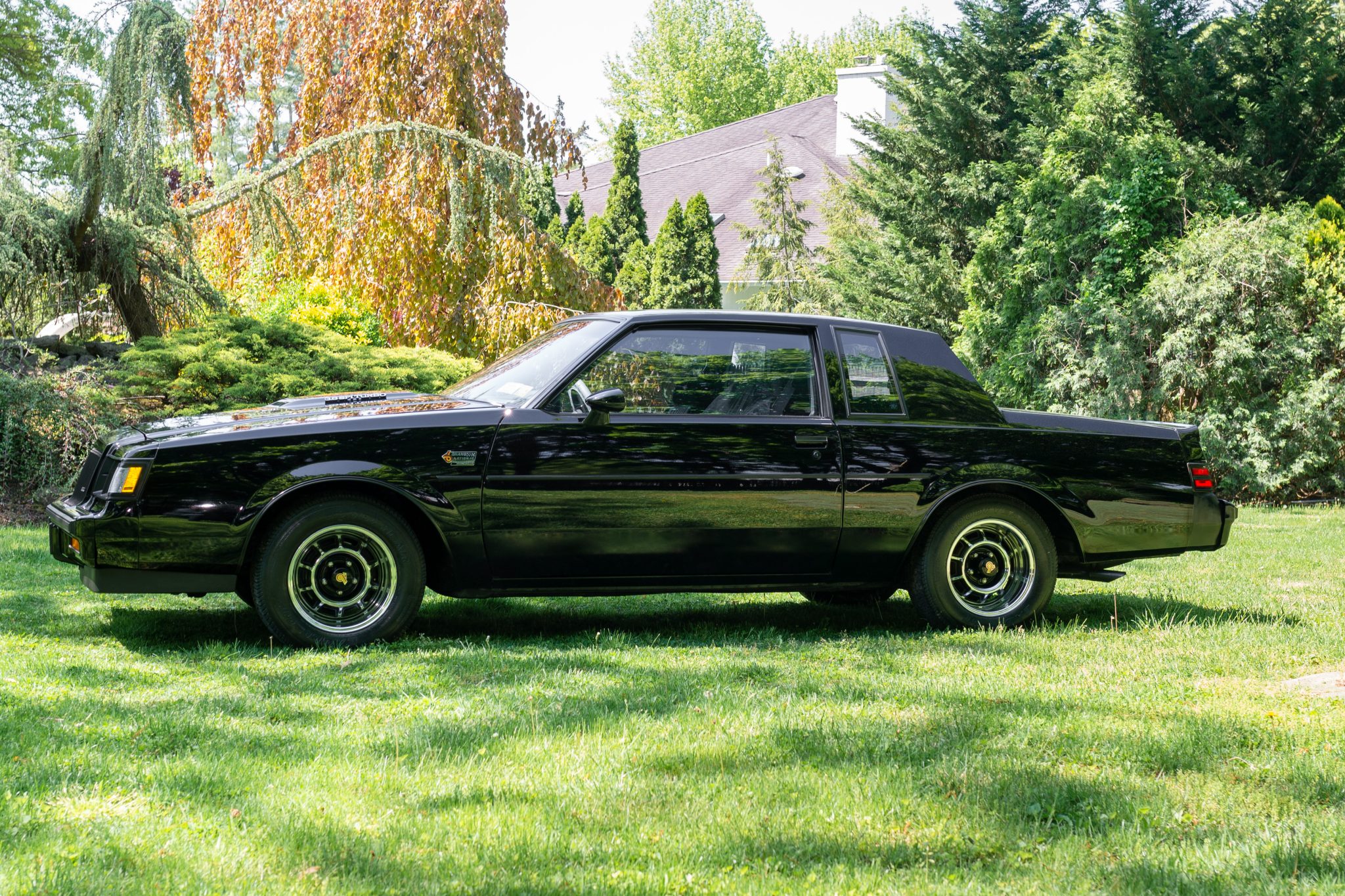 1987 buick grand national