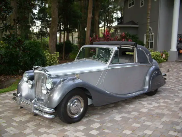 jaguar other