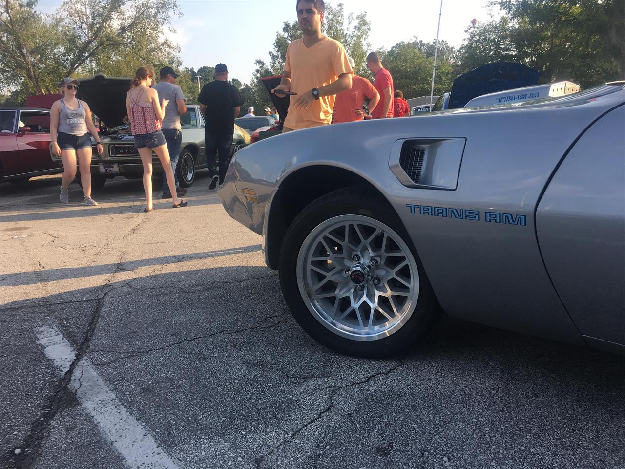 1981 pontiac firebird trans am