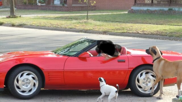 1994 corvette convertible/hardtop