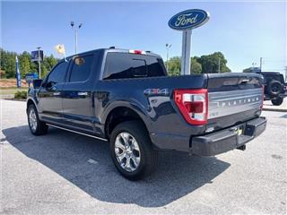 2022 Ford F-150 platinum