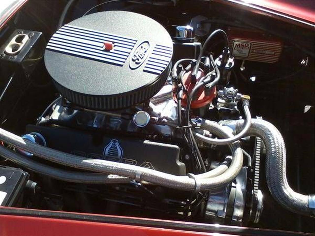 1966 shelby cobra