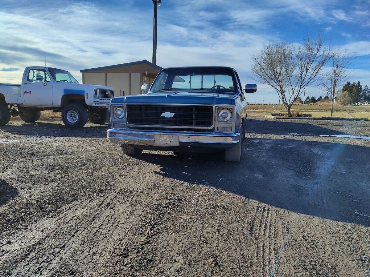 1979 chevrolet c10 pickup blue rwd manual custom delux
