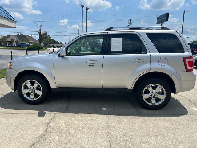 2010 ford escape limited