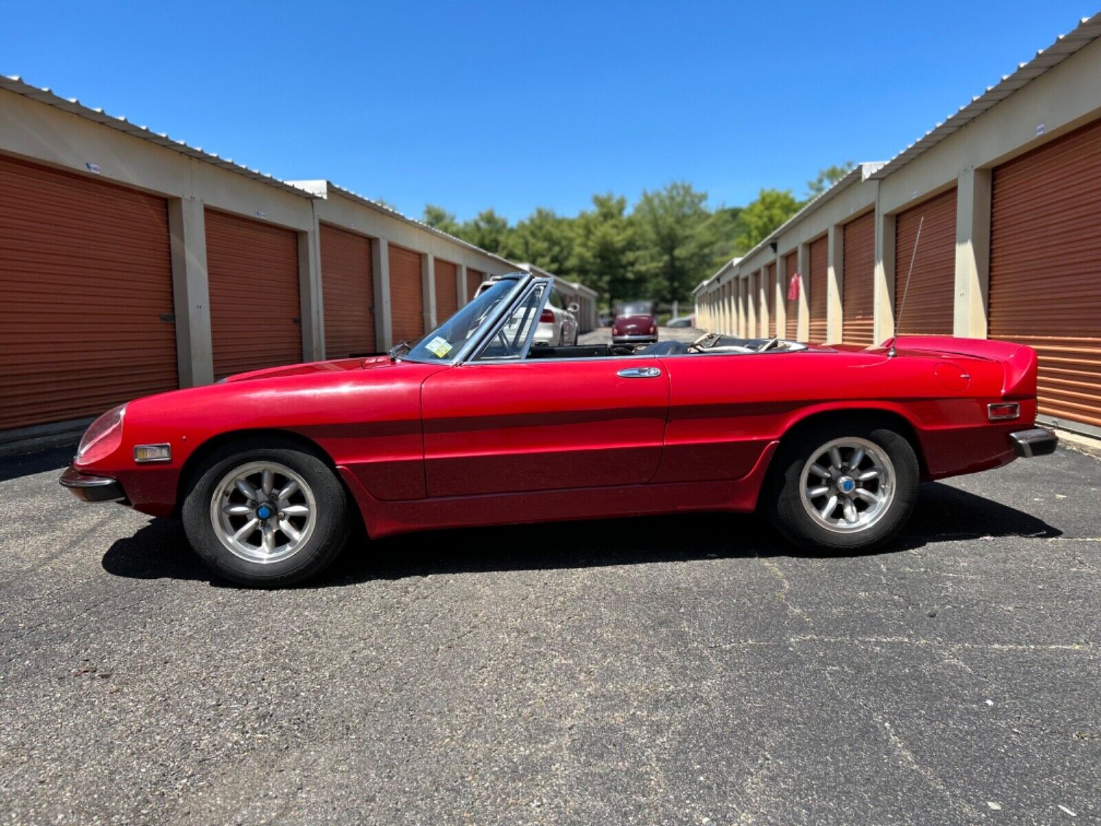 1971 alfa romeo spider