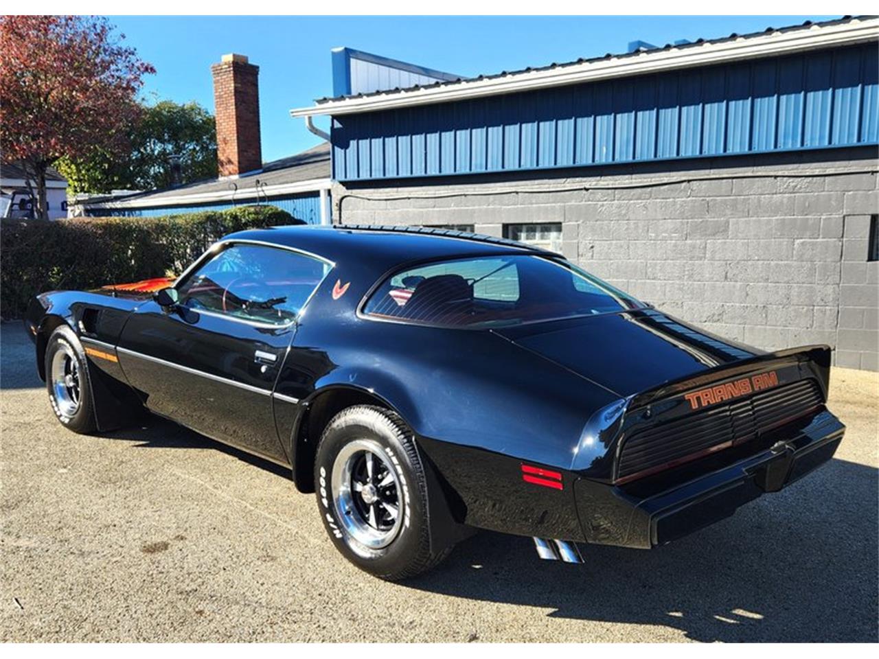1979 pontiac firebird