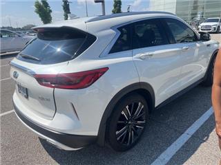 2021 Infiniti QX50 luxe