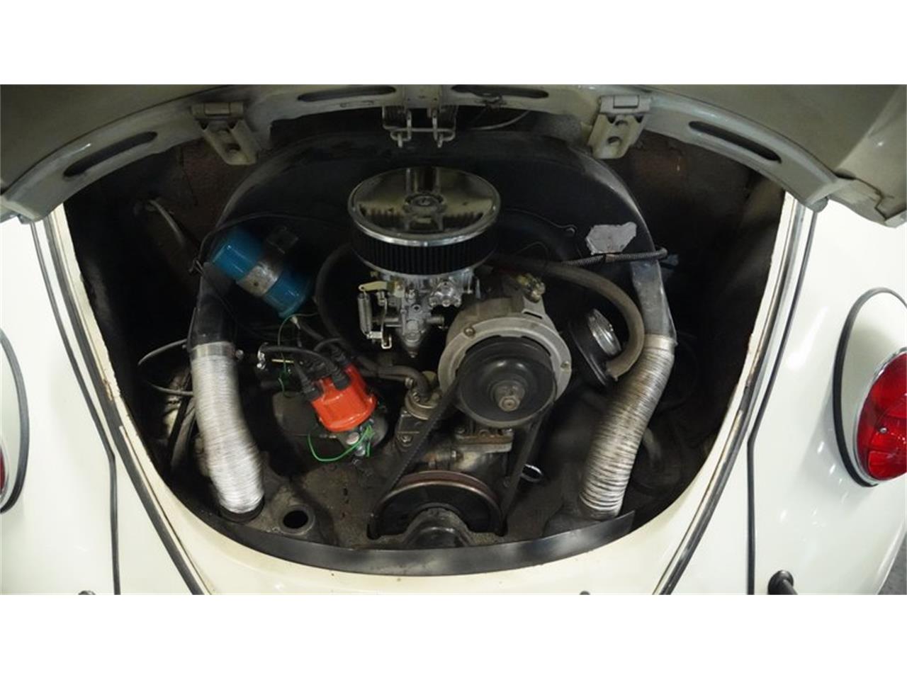 1966 volkswagen beetle