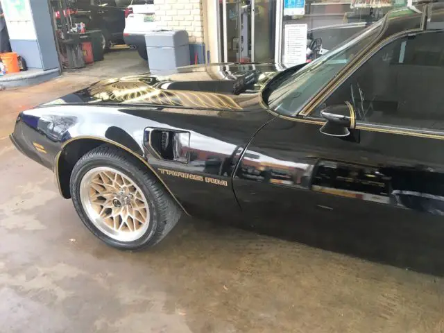 1981 pontiac trans am bandit