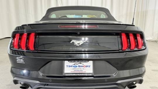 2023 ford mustang ecoboost