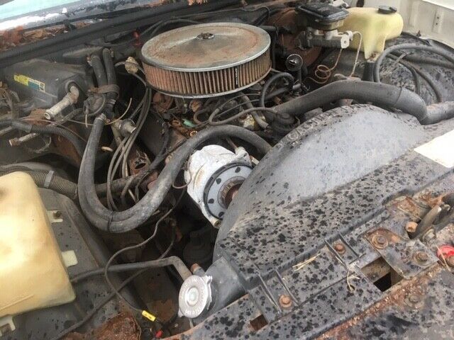 1984 monte carlo ss runs & drives - good nose - southern jersey nj