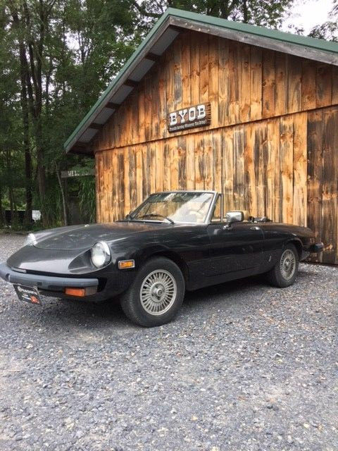 1980 alfa romeo
