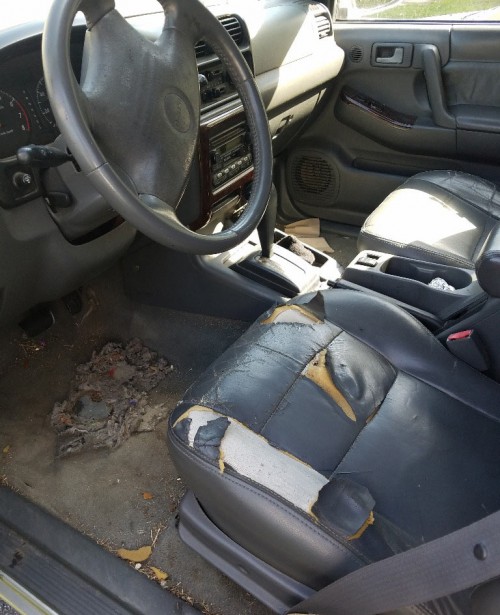 2000 isuzu rodeo lse for sale in florida by owner