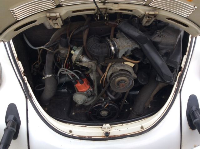 1978 volkswagen super beelte