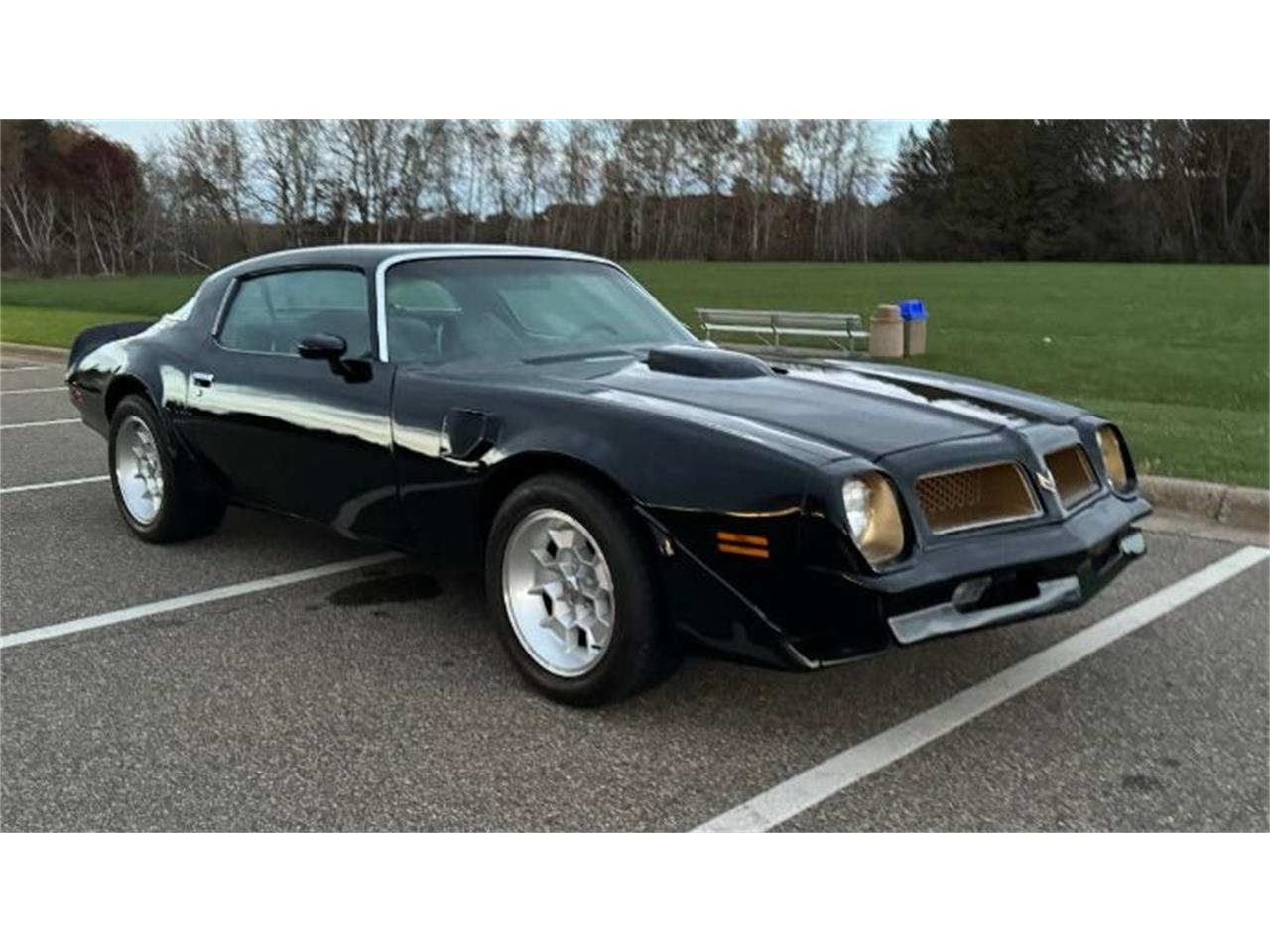 1976 pontiac firebird