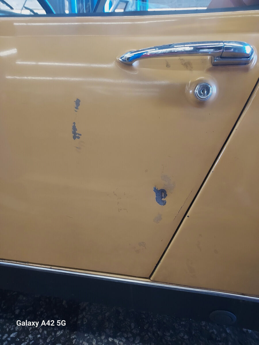 1977 mg midget survivor