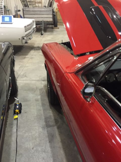 65 mustang fastback shelby