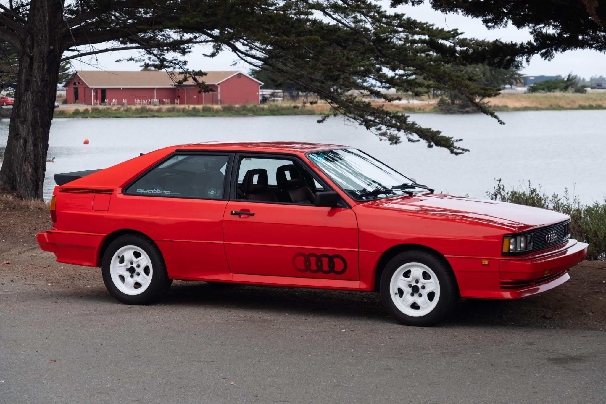 1983 audi quattro