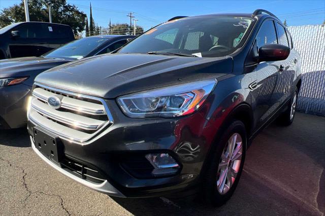2019 ford escape sel