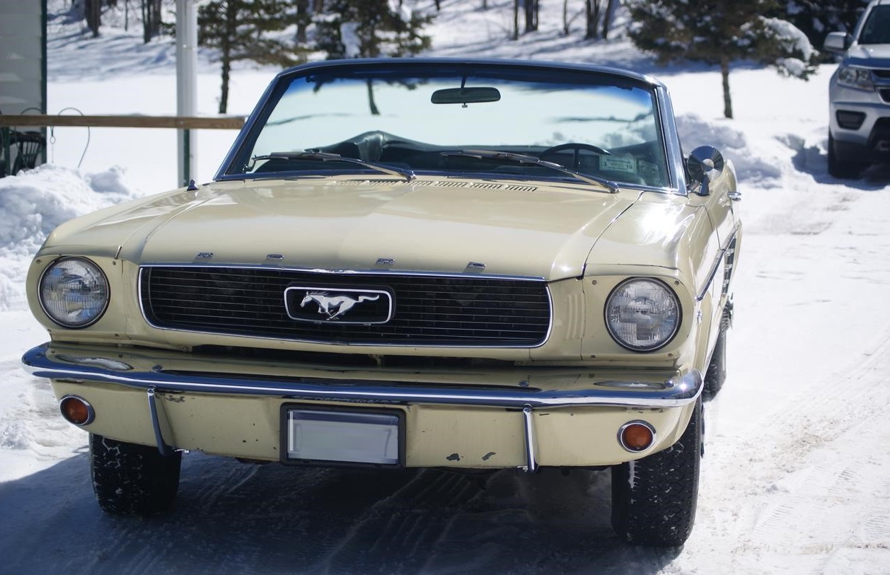 1966 ford mustang
