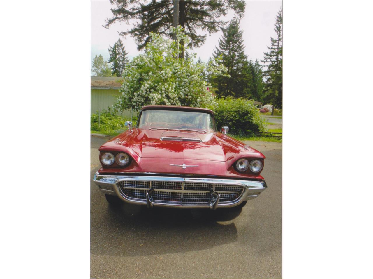 1960 ford thunderbird